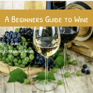 A Beginner’s  Guide to Wine
